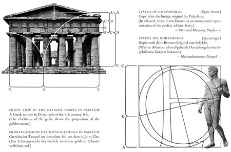 Rhythm and Proportion in Lettering, 6