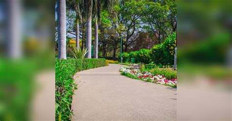 Nehru Park Delhi Oasis Of Serenity In The Heart Of The City Lbb