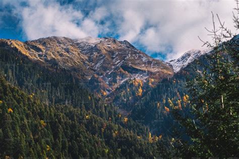 Autumn Trees In Mountains - Stock Photos | Motion Array