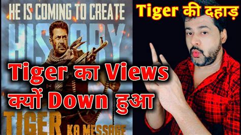 Tiger Teaser Views Down Tiger Ka Massage Salman Khan Fan S