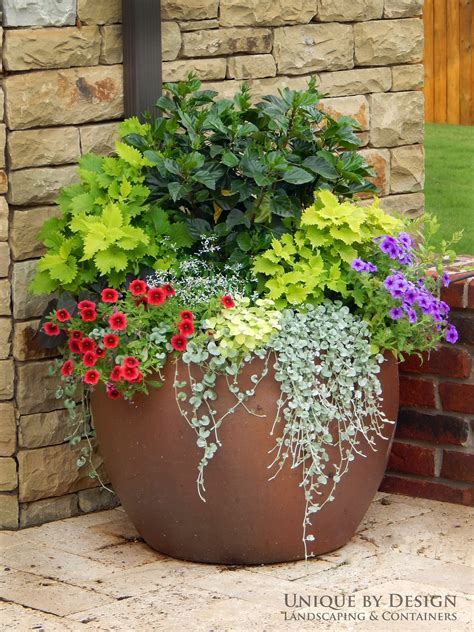 Pin on Gardens ideas | Container plants, Garden containers, Container ...