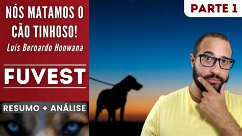 N S Matamos O C O Tinhoso Parte Fuvest Lu S Bernardo Honwana