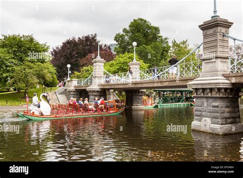 Swan Boat Boston Public Garden Boston Massachusetts USA Stock Photo