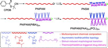 Synthesis And Properties Of Stimuli Sensitive Heterografted Toothbrush