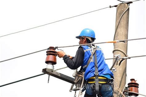 Petugas Pln Melakukan Pemeliharaan Jaringan Listrik Foto