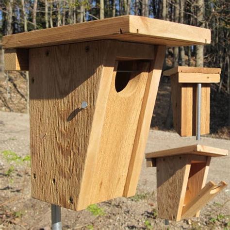 10 DIY Bluebird House Plans You Can Build Today (With Pictures) | House