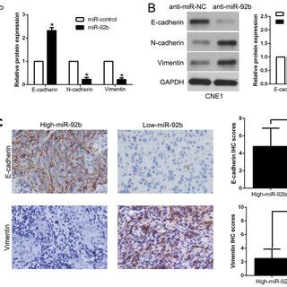 MiR 92b Suppresses Epithelial To Mesenchymal Transition In NPC Cell