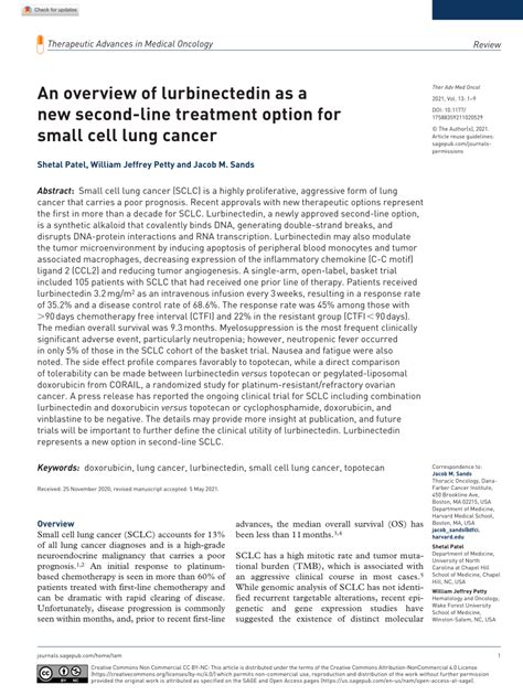 PDF An Overview Of Lurbinectedin As A New Second Line Treatment