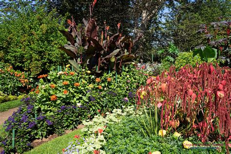 Canadian Nature Visions | Annapolis Royal Gardens