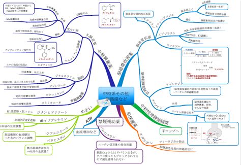 中枢系筋弛緩薬の解説：単シナプス反射・多シナプス反射とは？ マインドマップ薬学