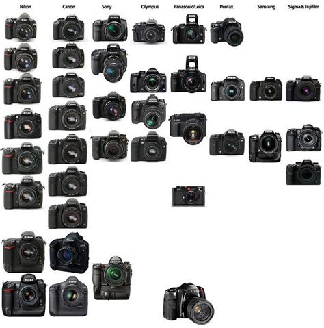 State Of The Dslr Market Nikon Vs Canon Vs Sony Minolta Vs Olympus