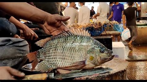 Amazing Fish Cutting Big Tilapia Fish Cleaning Cutting By Expert