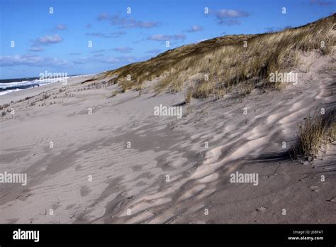 Balneario La playa seashore dunas sylt demostración Denes pradera verde