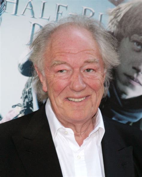 Michael Gambon Actor Who Played Dumbledore In Harry Potter Films