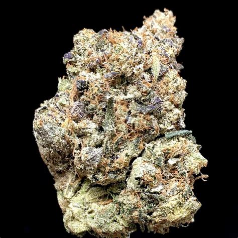 Sunshine Coast Pink Star Immaculate Rare Craft Cannabis Indica Thc