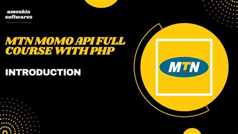 Mtn Momo Api Full Course With Php Introduction Youtube