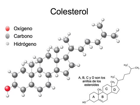 Quimica organica