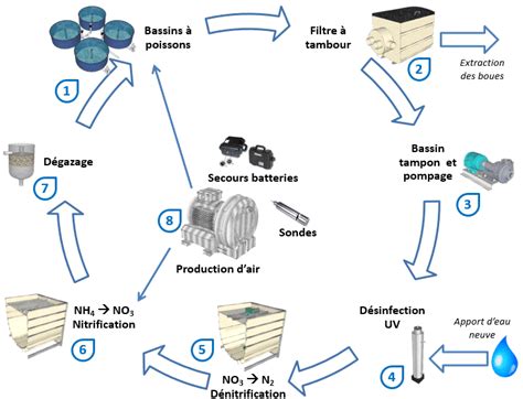 Les Diff Rents Types D Aquaculture Ce Qu Il Faut Savoir