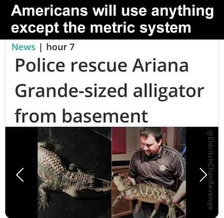 In The Us Anything Is Good Except Metric System Meme By Schizoidman