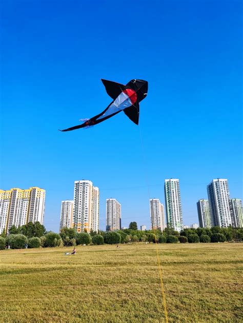 Надоумьте насчёт воздушного змея | Пикабу