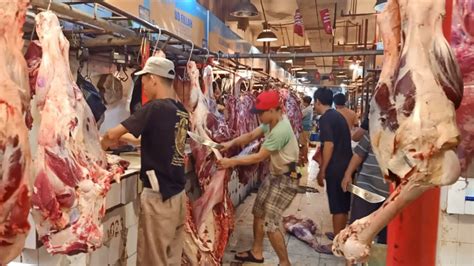 Baru Turun Dari Jagal Pemotongan Proses Bonding Daging Sapi Segar Jenis