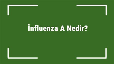 İnfluenza A Nedir Virüsün Bulaşma Süresi Ne Kadar İnfluenza A Virüsü