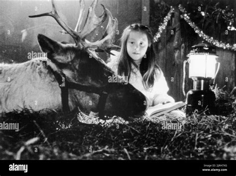 REBECCA HARRELL TICKELL, PRANCER, 1989 Stock Photo - Alamy