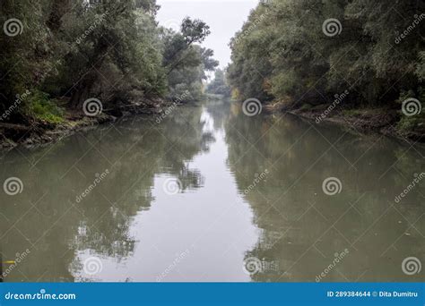 The Danube Delta Seen from the Danube River. Romania Stock Photo ...