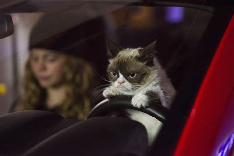 Grumpy Cat Movie Trailer: Grumpy Cat's Worst Christmas Ever Starring ...