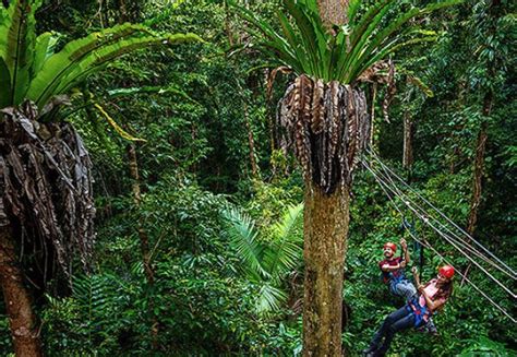 Kuranda Day Trip Including Skyrail Kuranda Scenic Railway And