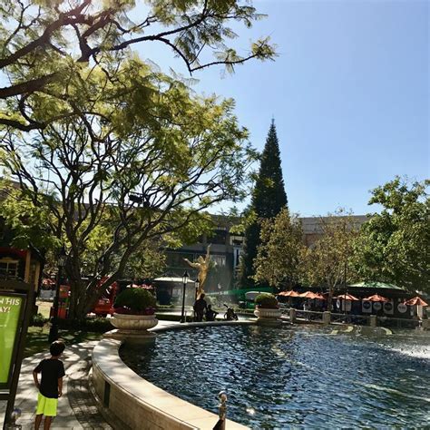 Naked Tree Just Before The Trimming Takes Place Man I Love This Time Of Year Naked