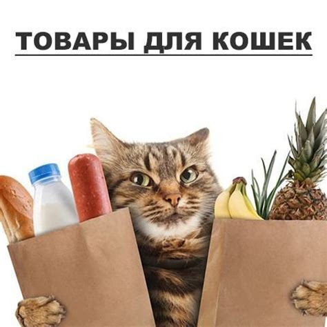 Интернет зоомагазин PetDostavka.ru. ПетДоставка: товары для животных ...