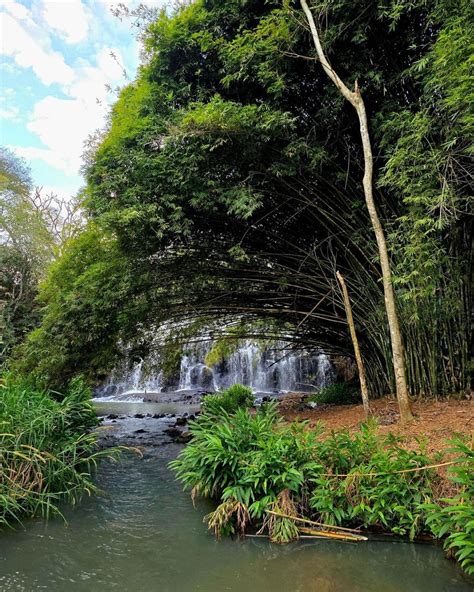 Lívia Andrade toma banho de cachoeira e revela perrengue Fiquei até