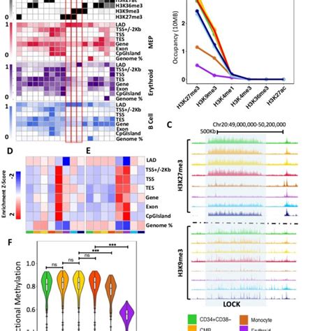 H3K27me3 LOCKs Lost During Myeloid Differentiation Are Associated With