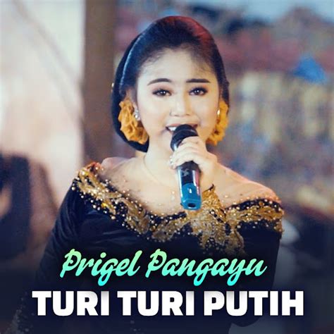 Turi Turi Putih YouTube Music