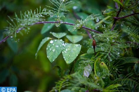 Fortes Pluies Localement Orageuses Et Rafales De Vent Vendredi Dans