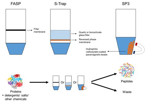 Ijms Free Full Text Bottom Up Proteomics Advancements In Sample