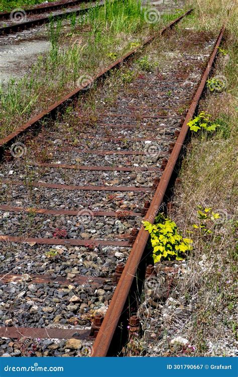 Overgrown Old Unused Rusted Railroad Tracks Resting On Wooden Railroad