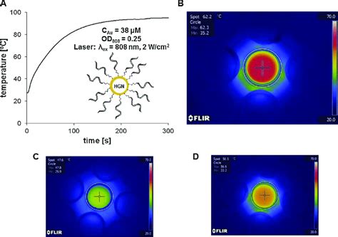 Thermal Properties Of Nanoparticles A Temperature Evolution In Time