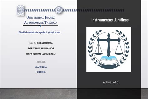 Instrumentos Jur Dicos Internacionales Y Sus Antecedentes