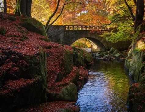 Autumn in Ireland: A Guide to the Country