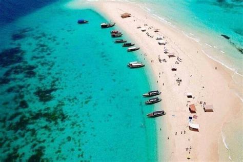 Prison Island With Nakupenda Sandbank Trip Zanziworld Tours