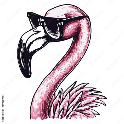 Cool Flamingo Wearing Sunglasses Summer Vector Illustration Stock