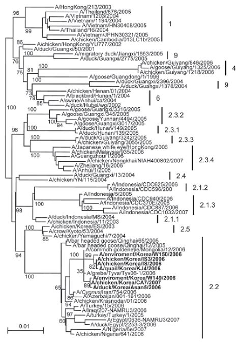 Phylogenetic Trees For Hemagglutinin Ha Genes Of Korean Infl Uenza