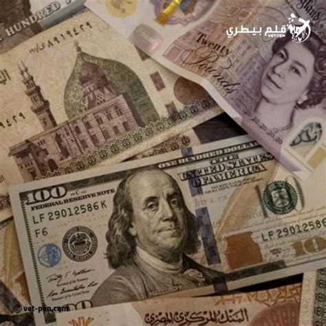 سعر الدولار والعملات العربية والأجنبية اليوم الثلاثاء 17 9 2024