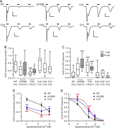 Effects Of Mutations Of Ctd Of Trpv1 On Capsaicin Induced Download