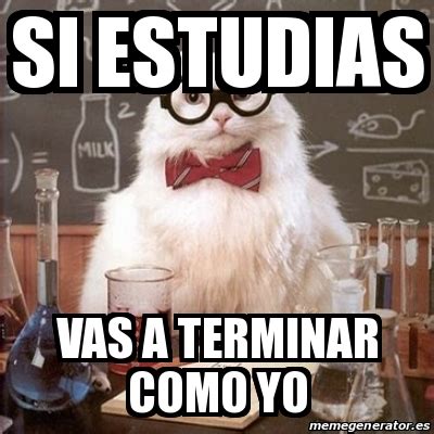 Meme Chemistry Cat Si Estudias Vas A Terminar Como Yo 28410006