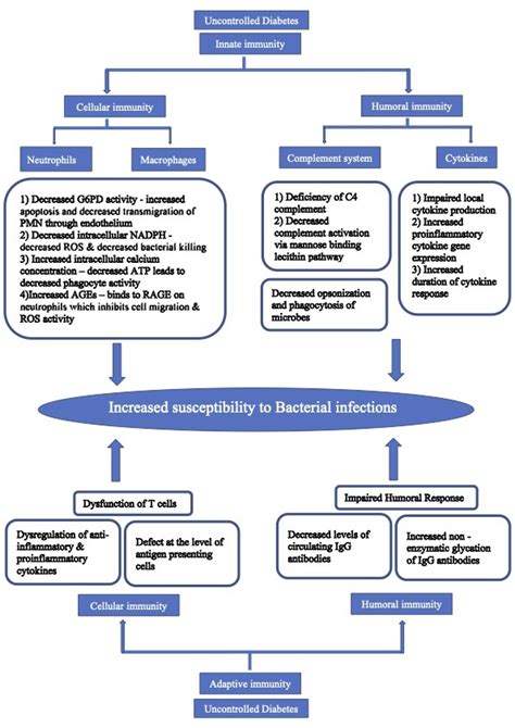 Fig 3 Pathogenesis Of Bacterial Infections In Endotext NCBI