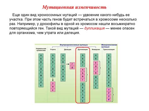 Изменчивость (1) - презентация онлайн