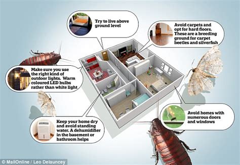 Ways To Prevent Bugs From Invading Your Home Daily Mail Online